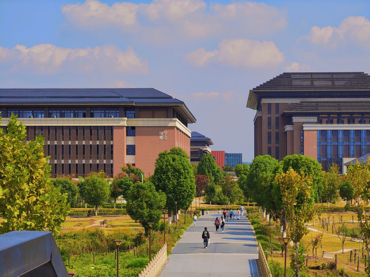 A picturesque view of modern campus buildings with a tree-lined walkway, under a sunny sky.